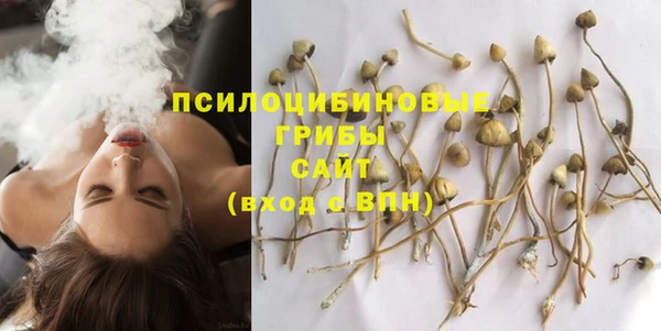шишки Алексин