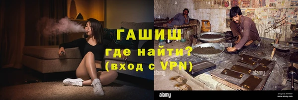 стаф Алзамай