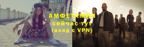 стаф Алзамай