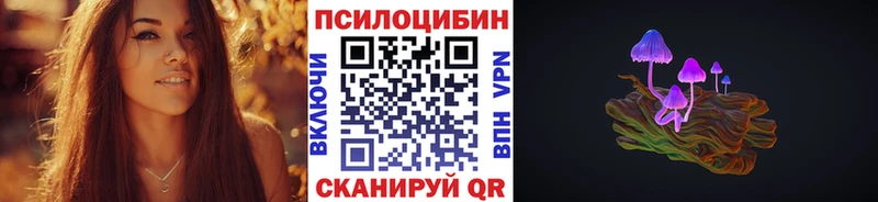 Галлюциногенные грибы Psilocybine cubensis  kraken как зайти  Нерехта 